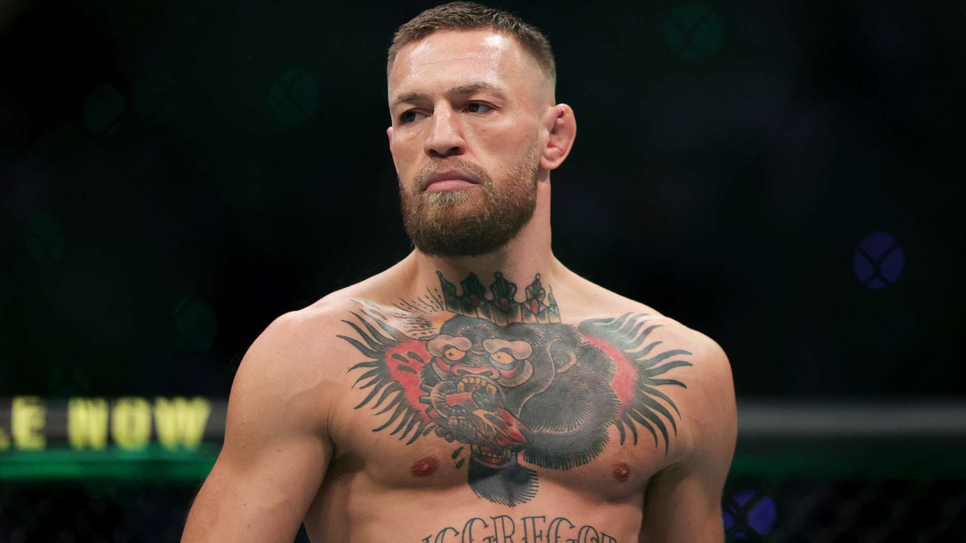 我們可以看 我們可以看