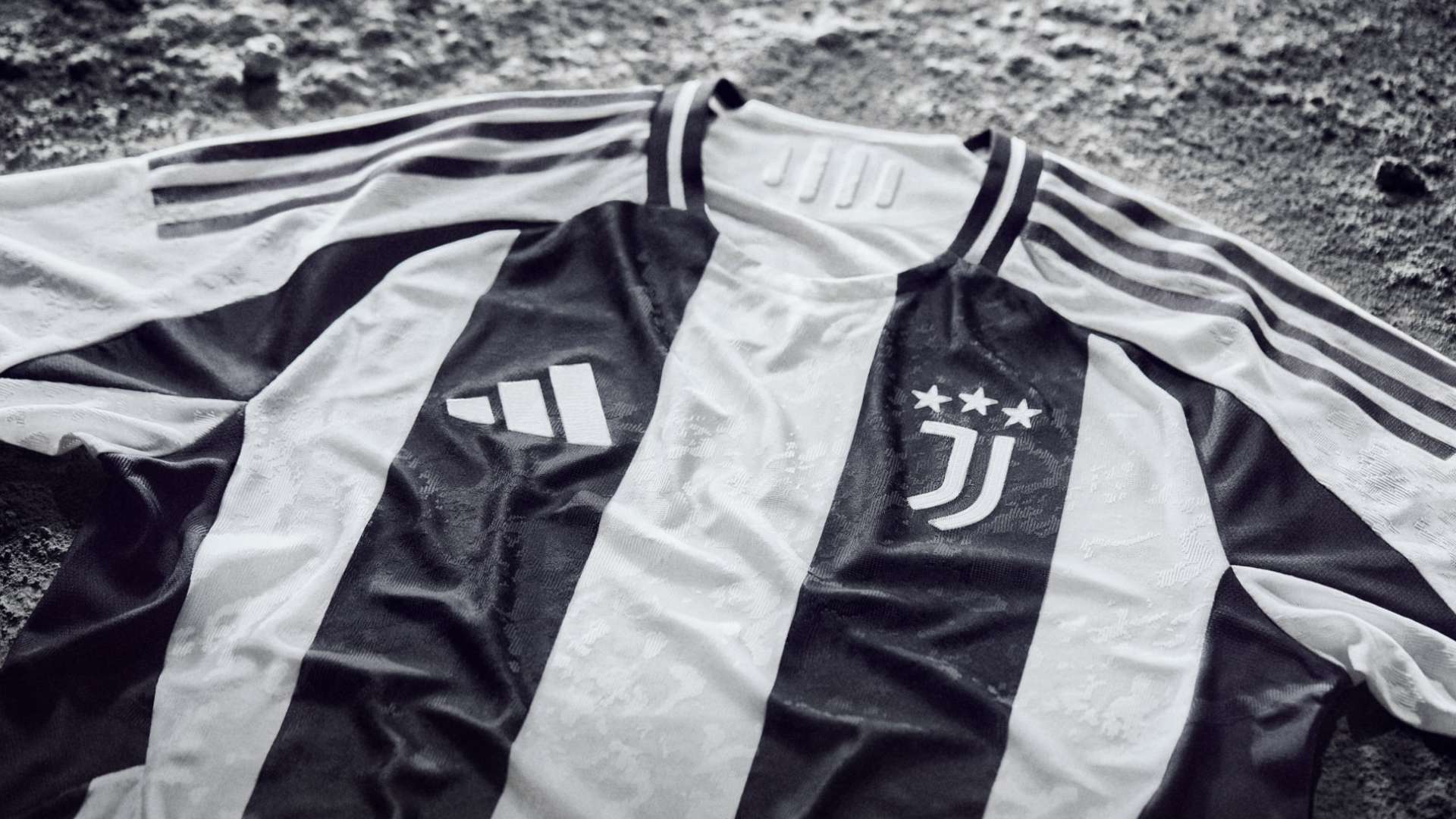 关于冠军归 关于冠军归