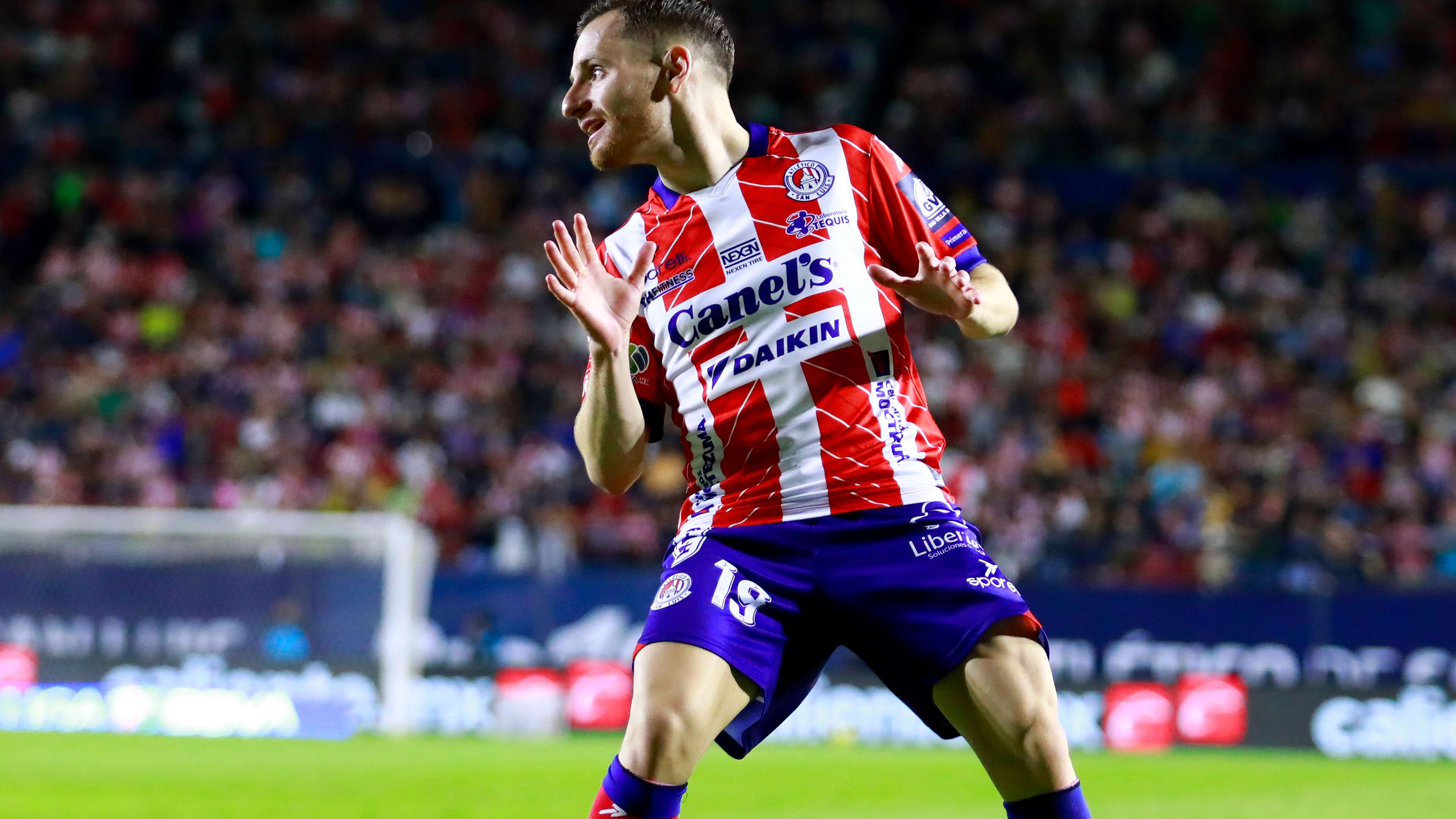 能与类似的 能与类似的